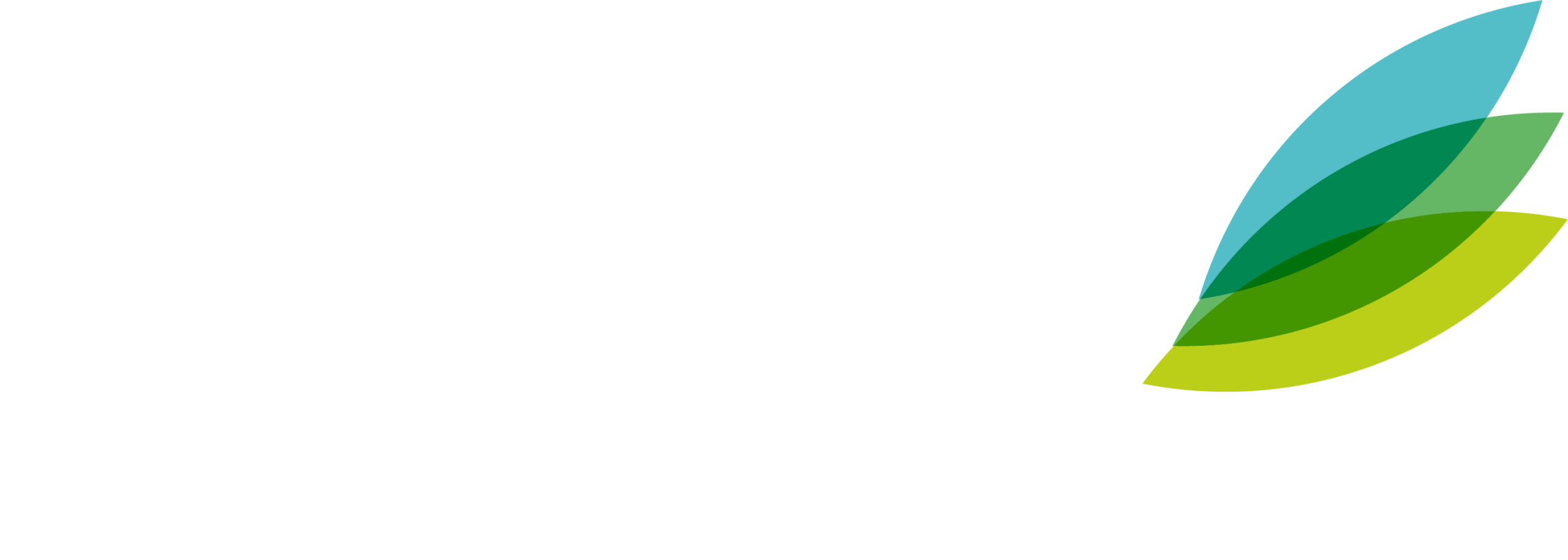 Rhizome Consulting